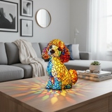 Poodle'i graatsiline võlu