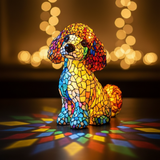 Poodle'i graatsiline võlu