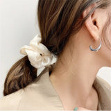 Luxury Golden Earrings