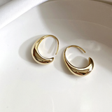 Luxury Golden Earrings