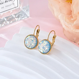 Stainless steel earrings with sparkle and rhinestones