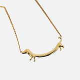 Golden Dog Collar